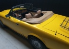 Classiche Auto
